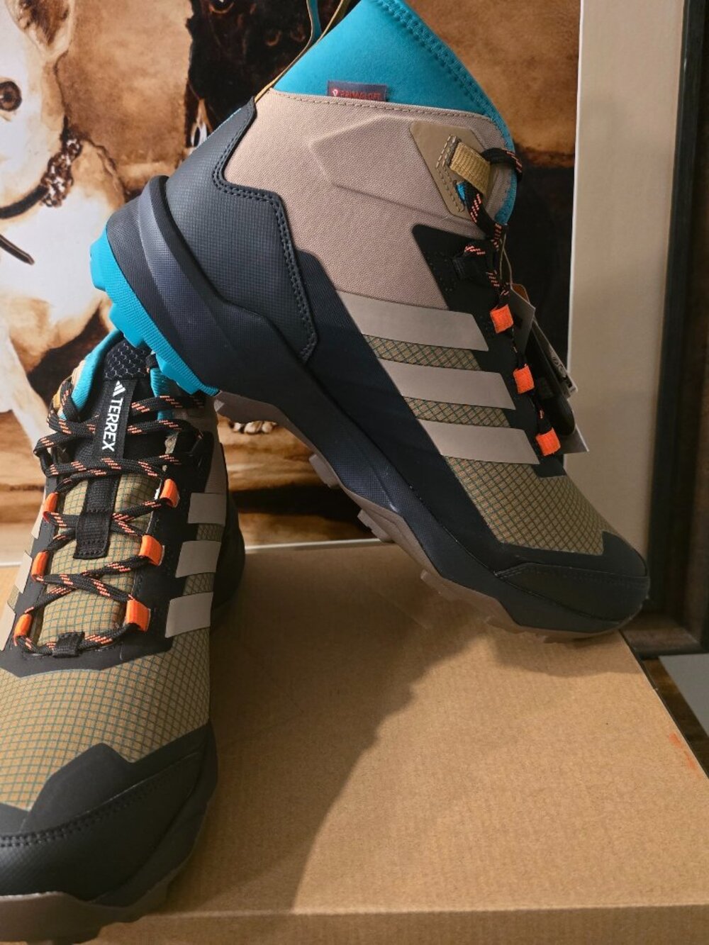 Adidas Terrex Skychaser AX5 Mid Gore-Tex GTX Hiking Shoes Boots JH7805 Sz 12 NEW